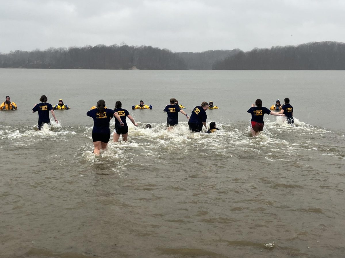 Students plunge at the 2023 Polar Plunge.