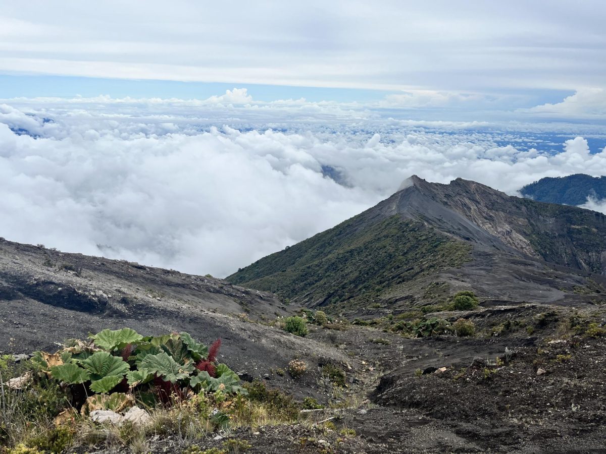 Costa Rica Summer Trip