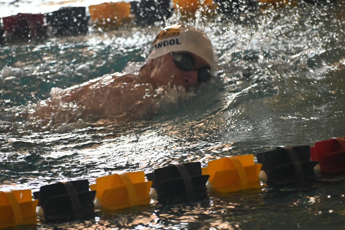 Freshman Ethan Wondaloski swims the fly stroke at the Mooresville Invitational. 